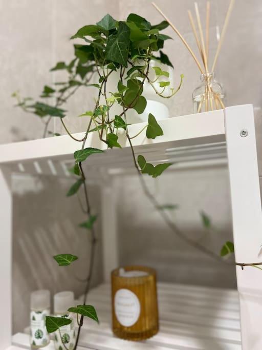 Casa Mina Cadiz 아파트 외부 사진